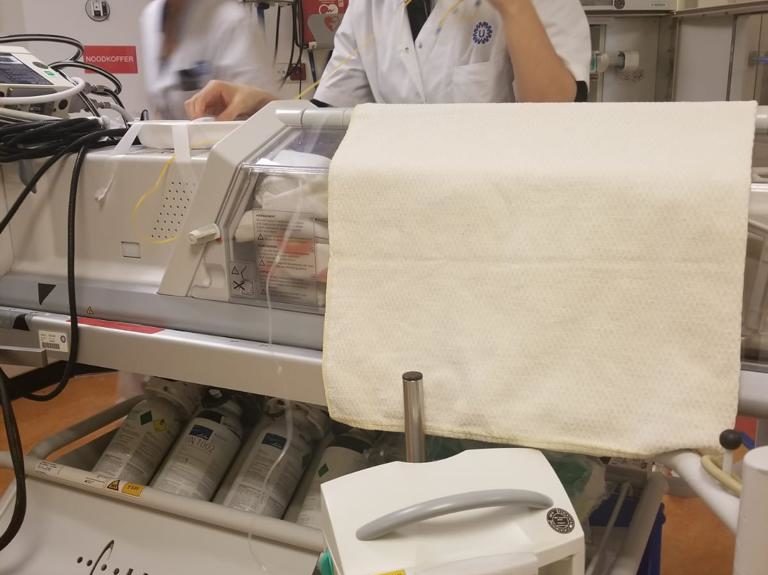 È originaria di Bernalda Maria Luisa Tataranno, dottoressa affermata a livello internazionale