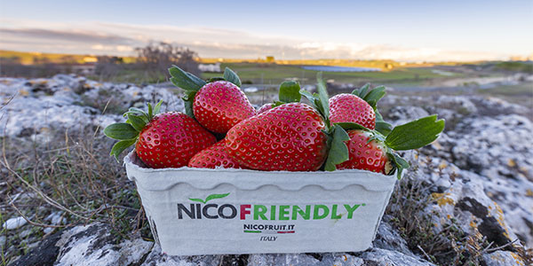Il nuovo brand “Fragola Matera®” debutta il 4 maggio a Casa Cava
