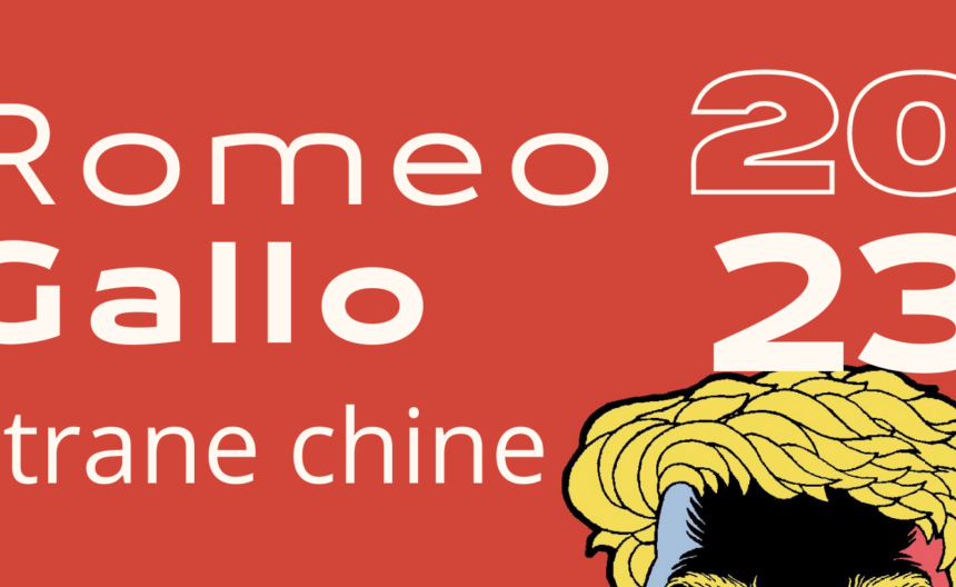 “Strane Chine”, a Matera nella sede di Strane Nuvole la mostra del fumettista Romeo Gallo