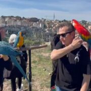 Sullo sfondo dei Sassi brillano i colori dei pappagalli: a Matera l’attore Enzo Salvi e Chiara Alessandrini, vicepresidente e presidente dell’associazione “Passione Pappagalli Free Flight”