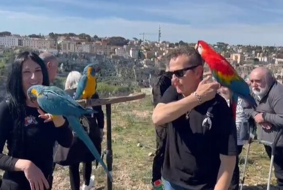 Sullo sfondo dei Sassi brillano i colori dei pappagalli: a Matera l’attore Enzo Salvi e Chiara Alessandrini, vicepresidente e presidente dell’associazione “Passione Pappagalli Free Flight”