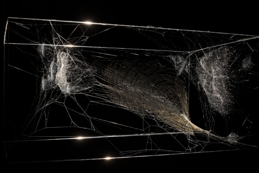 Matera, a Palazzo Lanfranchi l’opera di TOMÁS SARACENO “Life(s) of Webs: arachnophobias, arachnophilias, and other stories”