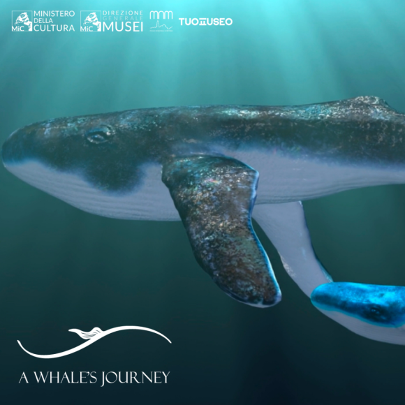 Si apre nel segno dell’avventura il nuovo anno del Museo nazionale di Matera: arriva l’app game  “A Whale’s Journey” dedicata alla Balena Giuliana.